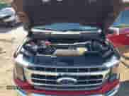 2021 Ford F-150 XL с VIN 1FTFW1ED5MFA94101, выставлен на аукционе IAAI как лот 43186024 с пробегом 28 202 миль миль и . История ставок и продаж доступна на DreamBid. Изображение 10.