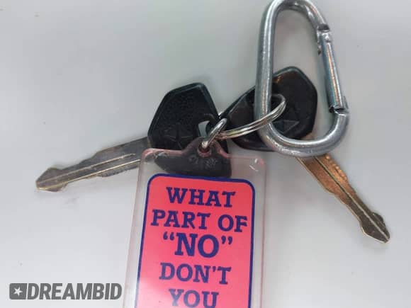 1996 Dodge 1500 z VIN 3B7HF13Z9TG185425, wystawiony jako IAAI lot #43512499 z przebiegiem 102 934 mil mil oraz . Historia ofert i sprzedaży dostępna na DreamBid. Obrazek 11.