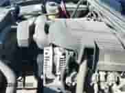 2007 Chevrolet Silverado 1500 1LT с VIN 1GCEK19CX7Z543185, выставлен на аукционе IAAI как лот 43268496 с пробегом Не указан миль и . История ставок и продаж доступна на DreamBid. Изображение 20.