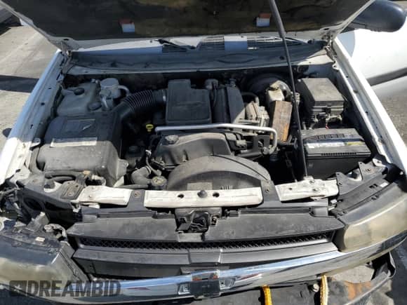 2005 Chevrolet TrailBlazer LS z VIN 1GNDT13S452197656, wystawiony jako Copart lot #69664955 z przebiegiem 166 206 mil mil oraz Szkoda całkowita • Salvage title. Historia ofert i sprzedaży dostępna na DreamBid. Obrazek 11.