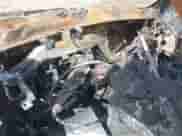 2019 Chevrolet Tahoe LS with VIN 1GNSKAKC0KR341436, listed as a IAAI auction lot 42749185 with Not provided miles and . Bid and sale history available at DreamBid. Image 11.