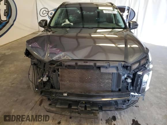 2024 Hyundai Palisade XRT с VIN KM8R34GE0RU673718, выставлен на аукционе Copart как лот 68626725 с пробегом 57 305 миль миль и Чистый • Clean title. История ставок и продаж доступна на DreamBid. Изображение 5.