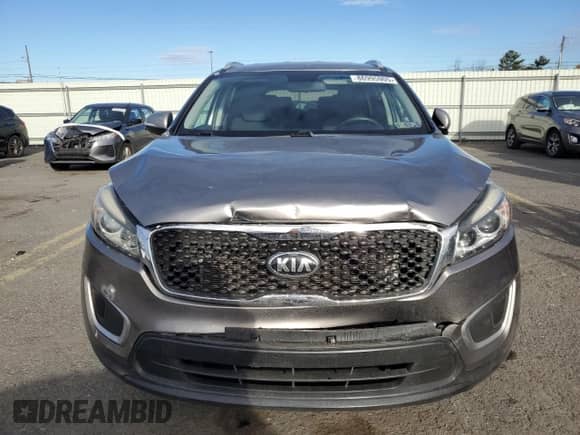 2017 Kia Sorento LX with VIN 5XYPGDA54HG206004, listed as a Copart auction lot 86995905 with 126,114 mi miles and Salvage title. Bid and sale history available at DreamBid. Image 5.