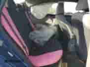 2016 Hyundai Accent SE with VIN KMHCT4AE8GU031307, listed as a Copart auction lot 81273745 with 162,248 mi miles and Salvage title. Bid and sale history available at DreamBid. Image 10.