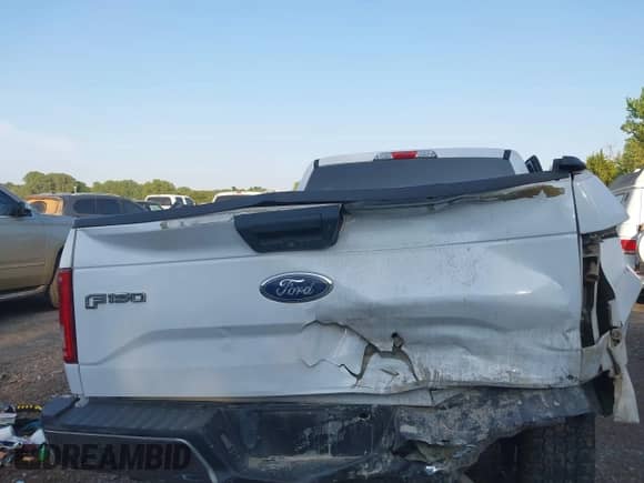 2017 Ford F-150 XLT with VIN 1FTFW1EG6HKD77811, listed as a IAAI auction lot 43137609 with 156,403 mi miles and . Bid and sale history available at DreamBid. Image 16.