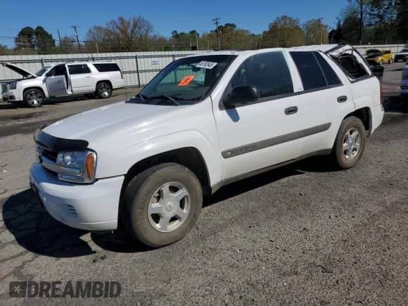 2003 Chevrolet TrailBlazer LS с VIN 1GNDS13S032190610, выставлен на аукционе Copart как лот 49763945 с пробегом 306 446 миль миль и Списание • Salvage title. История ставок и продаж доступна на DreamBid. Изображение 1.