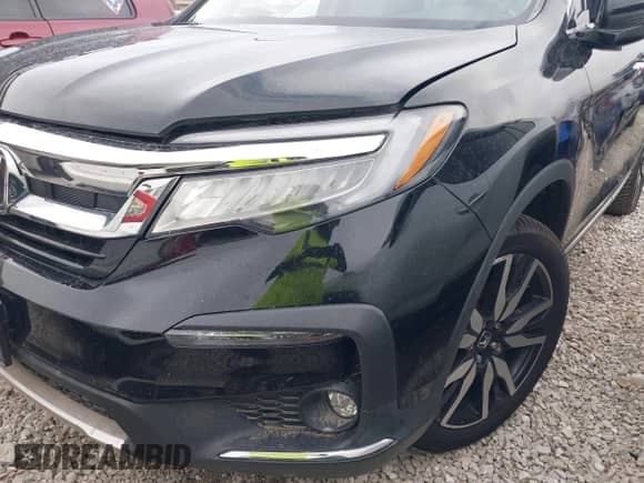 2021 Honda Pilot Elite с VIN 5FNYF6H01MB036750, выставлен на аукционе IAAI как лот 42984167 с пробегом 82 049 миль миль и . История ставок и продаж доступна на DreamBid. Изображение 6.