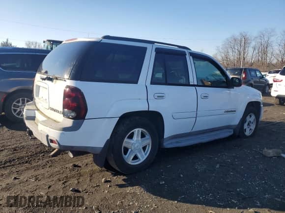 2002 Chevrolet TrailBlazer LS with VIN 1GNDT13S922137772, listed as a Copart auction lot 86365434 with 169,234 mi miles and Clean title. Bid and sale history available at DreamBid. Image 3.