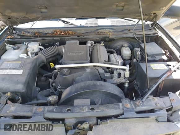 2005 Chevrolet TrailBlazer LT with VIN 1GNET16SX56118516, listed as a IAAI auction lot 42308138 with 161,819 mi miles and . Bid and sale history available at DreamBid. Image 10.