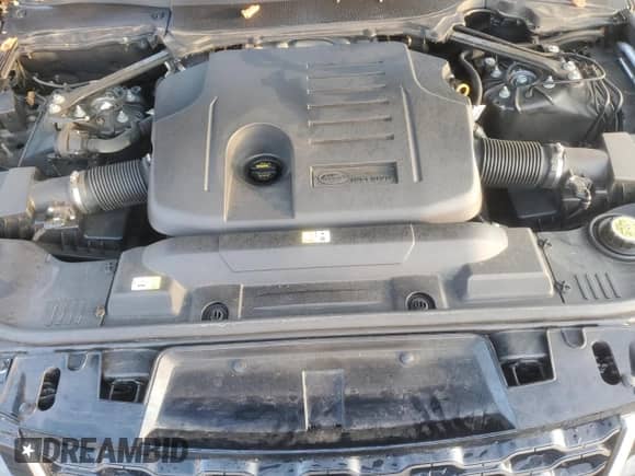 2021 Land Rover Range Rover Sport SE с VIN SALWG2SU7MA788611, выставлен на аукционе Copart как лот 81046835 с пробегом 56 984 миль миль и Списание • Salvage title. История ставок и продаж доступна на DreamBid. Изображение 11.