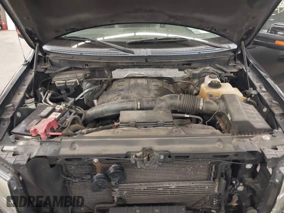 2013 Ford F-150 XL z VIN 1FTFW1ET6DFB60176, wystawiony jako IAAI lot #43158357 z przebiegiem 141 134 mil mil oraz . Historia ofert i sprzedaży dostępna na DreamBid. Obrazek 10.