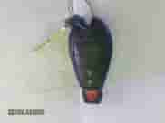 2015 Dodge Grand Caravan American Value с VIN 2C4RDGBG1FR748088, выставлен на аукционе IAAI как лот 42052160 с пробегом 248 540 миль миль и . История ставок и продаж доступна на DreamBid. Изображение 11.