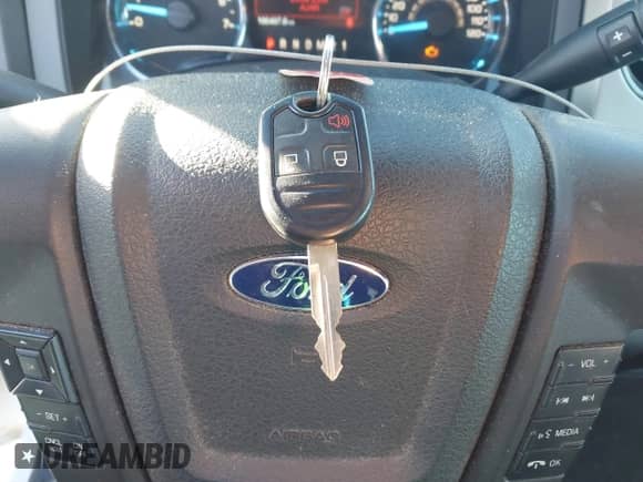 2012 Ford F-150 XL z VIN 1FTFW1EF9CFB26662, wystawiony jako IAAI lot #43477531 z przebiegiem 186 497 mil mil oraz . Historia ofert i sprzedaży dostępna na DreamBid. Obrazek 11.