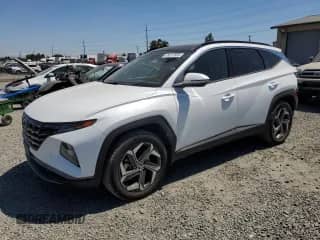 2023 Hyundai Tucson Limited с VIN KM8JECA19PU112521, выставлен на аукционе Copart как лот 65612985 с пробегом 31 733 миль миль и Списание • Salvage title. История ставок и продаж доступна на DreamBid. Изображение 1.