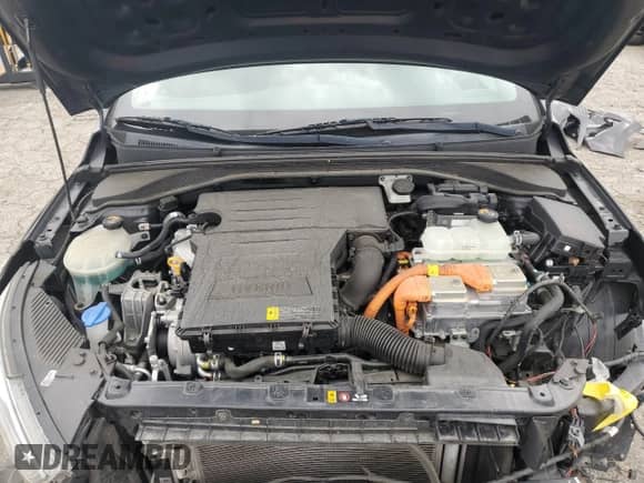 2019 Hyundai Ioniq Blue z VIN KMHC65LCXKU170646, wystawiony jako Copart lot #50733064 z przebiegiem 109 466 mil mil oraz . Historia ofert i sprzedaży dostępna na DreamBid. Obrazek 11.