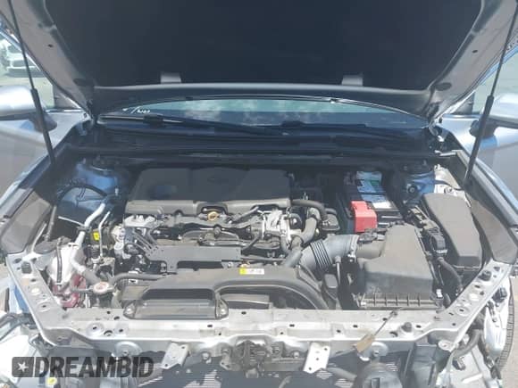 2019 Toyota Camry LE с VIN 4T1B11HK7KU848322, выставлен на аукционе IAAI как лот 43119234 с пробегом 26 780 миль миль и . История ставок и продаж доступна на DreamBid. Изображение 10.