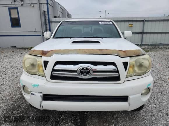 2008 Toyota Tacoma with VIN 3TMMU52N18M005342, listed as a Copart auction lot 84382285 with 280,015 mi miles and Salvage title. Bid and sale history available at DreamBid. Image 5.
