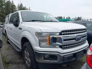 2018 Ford F-150 XL z VIN 1FTEW1EP3JKD35971, wystawiony jako IAAI lot #43442992 z przebiegiem 219 901 mil mil oraz . Historia ofert i sprzedaży dostępna na DreamBid. Obrazek 1.