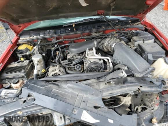 1999 Chevrolet S-10 LS ZR2 z VIN 1GCCT19W6X8205755, wystawiony jako Copart lot #70791954 z przebiegiem 264 747 mil mil oraz Szkoda całkowita • Salvage title. Historia ofert i sprzedaży dostępna na DreamBid. Obrazek 11.
