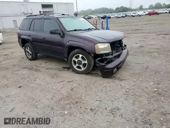 2008 Chevrolet TrailBlazer 1LT z VIN 1GNDT13S482153886, wystawiony jako Copart lot #55815595 z przebiegiem 227 022 mil mil oraz Szkoda całkowita • Salvage title. Historia ofert i sprzedaży dostępna na DreamBid. Obrazek 14.