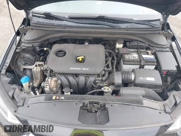 2017 Hyundai Elantra Limited with VIN KMHD84LF6HU106258, listed as a IAAI auction lot 43167596 with 125,216 mi miles and . Bid and sale history available at DreamBid. Image 10.