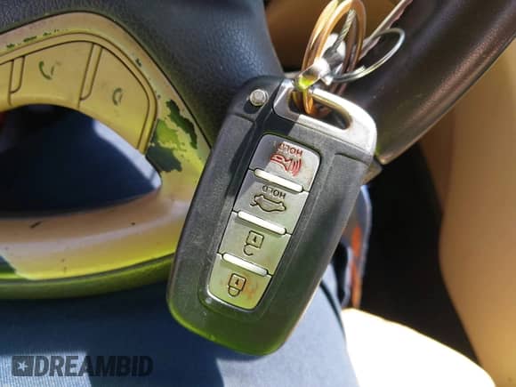 2011 Hyundai Sonata Limited with VIN 5NPEC4AC2BH143907, listed as a IAAI auction lot 43142066 with 194,877 mi miles and . Bid and sale history available at DreamBid. Image 11.