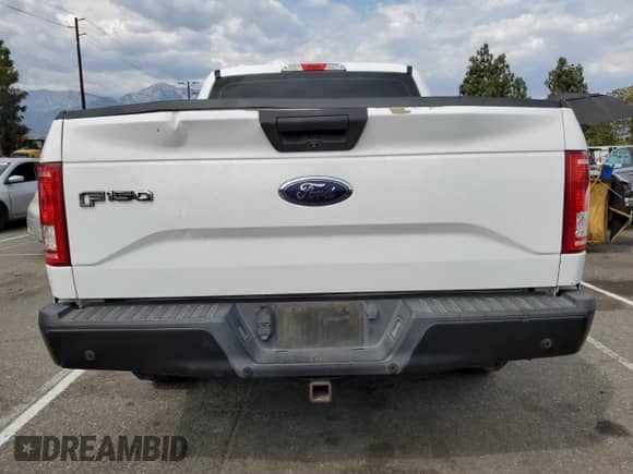 2017 Ford F-150 XL z VIN 1FTEW1CP5HKD47584, wystawiony jako Copart lot #81083395 z przebiegiem 233 259 mil mil oraz Szkoda całkowita • Salvage title. Historia ofert i sprzedaży dostępna na DreamBid. Obrazek 6.