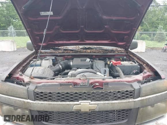 2008 Chevrolet Colorado 1LT с VIN 1GCDT19E488115484, выставлен на аукционе IAAI как лот 42528692 с пробегом 87 114 миль миль и . История ставок и продаж доступна на DreamBid. Изображение 10.