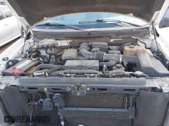 2009 Ford F-150 XL with VIN 1FTPW14V79FA62319, listed as a IAAI auction lot 41410669 with 153,044 mi miles and . Bid and sale history available at DreamBid. Image 10.