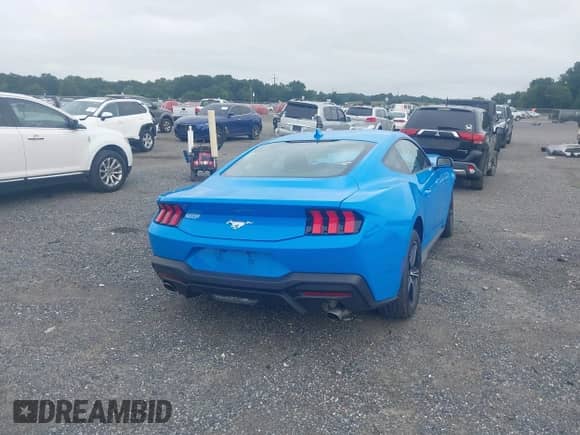 2024 Ford Mustang EcoBoost с VIN 1FA6P8TH8R5143368, выставлен на аукционе IAAI как лот 43025741 с пробегом 9 326 миль миль и . История ставок и продаж доступна на DreamBid. Изображение 4.