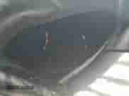 2021 Subaru WRX with VIN JF1VA1A69M9807524, listed as a Copart auction lot 63729925 with Not provided miles and Non repairable. Bid and sale history available at DreamBid. Image 9.