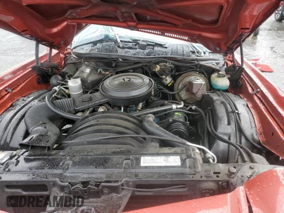 1977 Chevrolet Monte Carlo с VIN 1H57U7K464470, выставлен на аукционе Copart как лот 71591905 с пробегом 31 015 миль миль и Списание • Salvage title. История ставок и продаж доступна на DreamBid. Изображение 11.