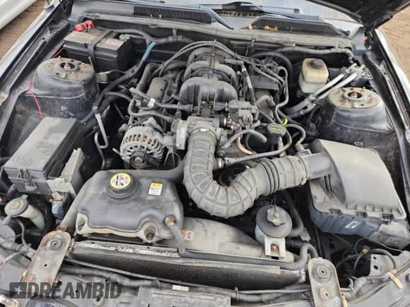 2007 Ford Mustang Deluxe с VIN 1ZVFT80N775326562, выставлен на аукционе Copart как лот 82551505 с пробегом 148 765 миль миль и Чистый • Clean title. История ставок и продаж доступна на DreamBid. Изображение 11.