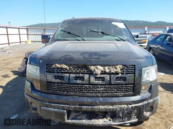 2012 Ford F-150 XL with VIN 1FTFW1ET8CFC44160, listed as a IAAI auction lot 42435963 with 147,146 mi miles and . Bid and sale history available at DreamBid. Image 11.