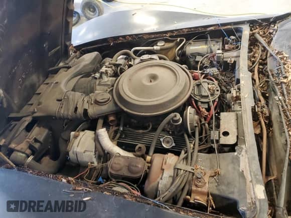 1981 Chevrolet Corvette z VIN 1G1AY8763BS411382, wystawiony jako Copart lot #46404285 z przebiegiem 79 581 mil mil oraz Czysty tytuł • Clean title. Historia ofert i sprzedaży dostępna na DreamBid. Obrazek 11.