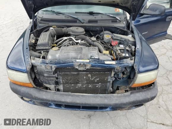 2002 Dodge Dakota with VIN 1B7GG32X32S546515, listed as a Copart auction lot 57888695 with 81,202 mi miles and Salvage title. Bid and sale history available at DreamBid. Image 11.