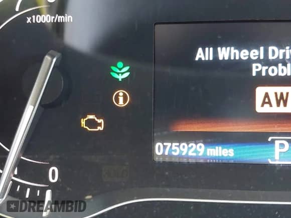 2016 Honda Pilot EX-L z VIN 5FNYF6H61GB076030, wystawiony jako IAAI lot #42669327 z przebiegiem 75 929 mil mil oraz . Historia ofert i sprzedaży dostępna na DreamBid. Obrazek 16.