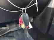 2018 Ram 1500 Big Horn with VIN 1C6RR7LT7JS138076, listed as a IAAI auction lot 41394987 with 197,904 mi miles and . Bid and sale history available at DreamBid. Image 11.