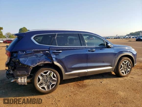 2023 Hyundai Santa Fe SEL Premium with VIN 5NMS3DA19PH004847, listed as a Copart auction lot 85886425 with 25,113 mi miles and Salvage title. Bid and sale history available at DreamBid. Image 3.