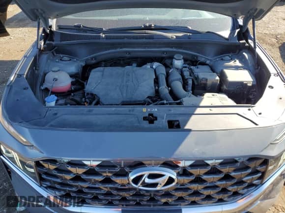 2021 Hyundai Santa Fe Calligraphy with VIN 5NMS5DAL2MH356272, listed as a Copart auction lot 49246385 with 33,528 mi miles and Salvage title. Bid and sale history available at DreamBid. Image 12.