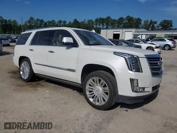 2017 Cadillac Escalade Platinum with VIN 1GYS4DKJ1HR246650, listed as a Copart auction lot 69136115 with 131,016 mi miles and Salvage title. Bid and sale history available at DreamBid. Image 4.