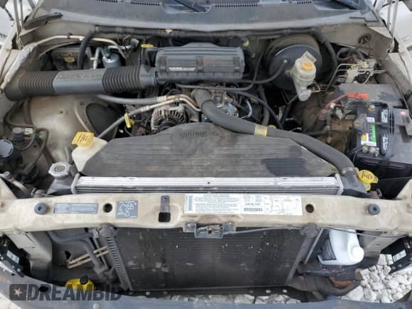 2001 Dodge 1500 with VIN 3B7HC13Y31M293294, listed as a Copart auction lot 73509694 with 208,884 mi miles and Non repairable. Bid and sale history available at DreamBid. Image 11.