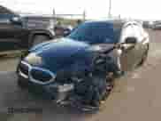 2019 BMW 3 Series 330i with VIN WBA5R1C51KFH29794, listed as a IAAI auction lot 43089716 with Not provided miles and . Bid and sale history available at DreamBid. Image 2.