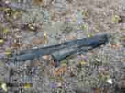 2015 Subaru Forester z VIN JF2SJCNC7FH412616, wystawiony jako Copart lot #81561105 z przebiegiem 270 414 mil mil oraz Szkoda całkowita • Salvage title. Historia ofert i sprzedaży dostępna na DreamBid. Obrazek 13.