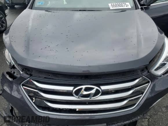 2015 Hyundai Santa Fe with VIN 5XYZW4LA3FG256329, listed as a Copart auction lot 66890075 with Not provided miles and Salvage title. Bid and sale history available at DreamBid. Image 12.