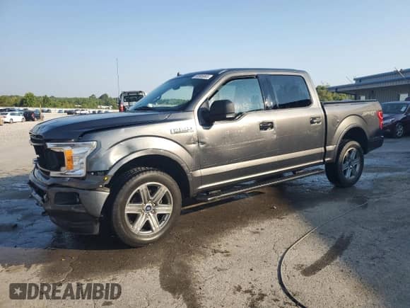 2019 Ford F-150 XLT with VIN 1FTEW1EP7KFA78291, listed as a Copart auction lot 80905865 with 64,304 mi miles and Salvage title. Bid and sale history available at DreamBid. Image 1.