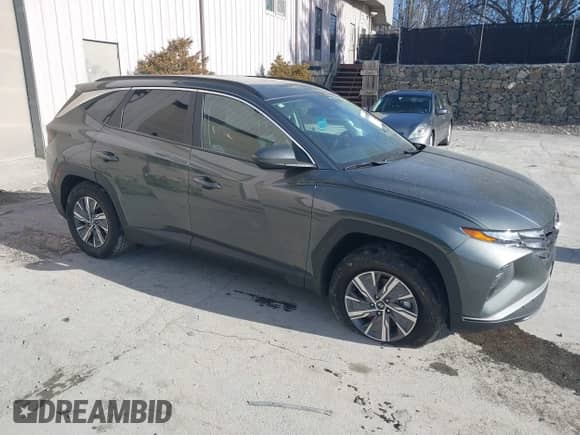 2024 Hyundai Tucson Blue with VIN KM8JBCD15RU214826, listed as a IAAI auction lot 41214421 with 7,473 mi miles and . Bid and sale history available at DreamBid. Image 1.