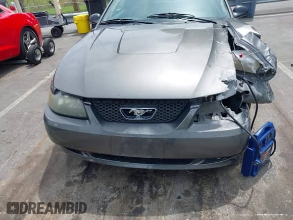 2004 Ford Mustang Standard с VIN 1FAFP404X4F100535, выставлен на аукционе IAAI как лот 42457701 с пробегом 114 589 миль миль и . История ставок и продаж доступна на DreamBid. Изображение 11.