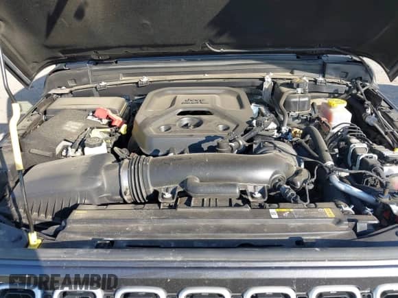 2025 Jeep Wrangler Sahara with VIN 1C4PJXEN8SW528345, listed as a IAAI auction lot 43411423 with 20,192 mi miles and . Bid and sale history available at DreamBid. Image 10.