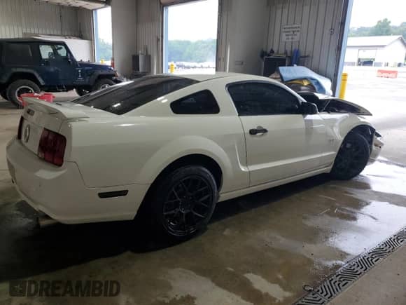 2007 Ford Mustang GT Deluxe z VIN 1ZVFT82H975335304, wystawiony jako Copart lot #67806895 z przebiegiem 77 475 mil mil oraz Szkoda całkowita • Salvage title. Historia ofert i sprzedaży dostępna na DreamBid. Obrazek 3.